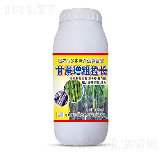 500ml�����������L-ʥ�ϝ�