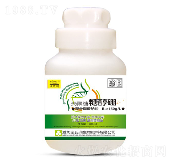 �Ǵ���-ʥ�ϝ�