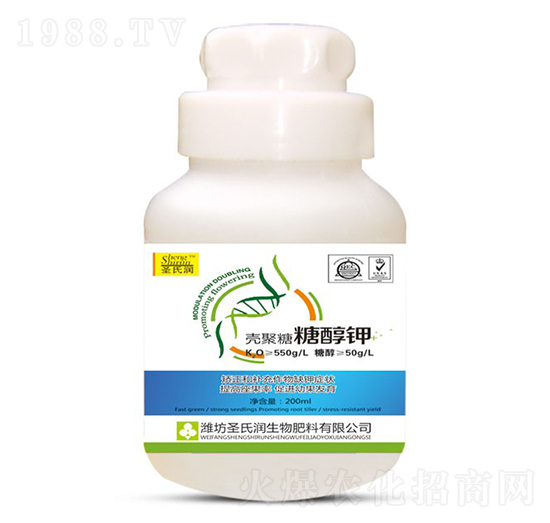 �Ǵ��-ʥ�ϝ�(r��n)