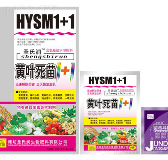 黃葉死苗1+1-圣氏潤
