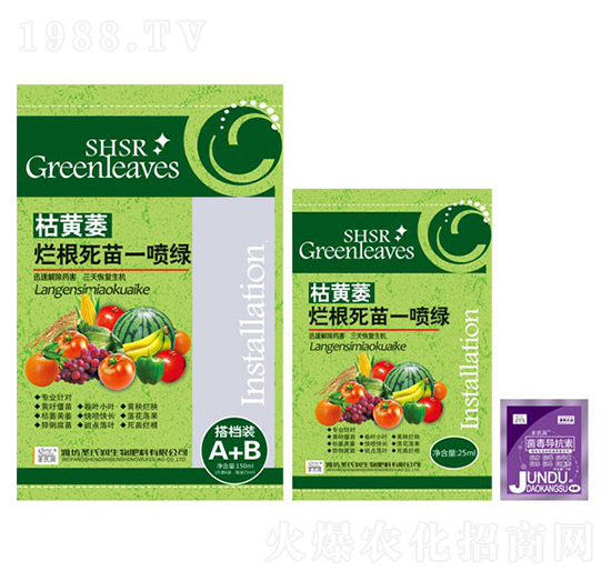 枯黃萎爛根死苗一噴綠-圣氏潤(rùn)