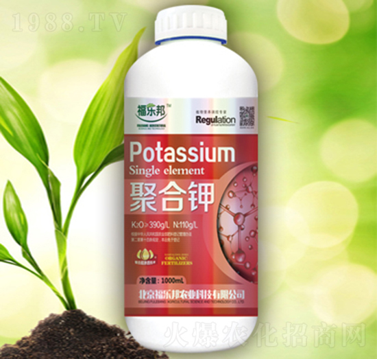 �ۺ��-����(l��)��