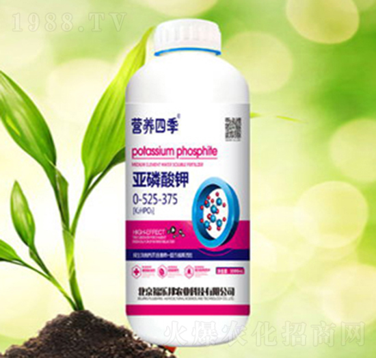 �I(y��ng)�B(y��ng)�ļ�-�������-������