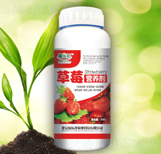 草莓營養(yǎng)劑-福樂邦