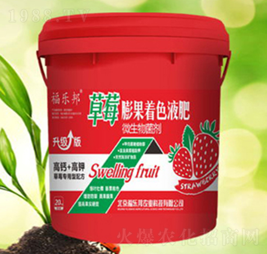 福樂邦草莓膨果著色液肥-福樂邦