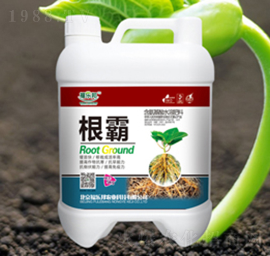 根霸-福樂(lè)邦