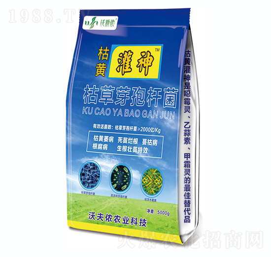 枯草芽孢桿菌-枯黃灌神-沃夫儂