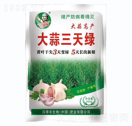 大蒜三天綠-四季豐