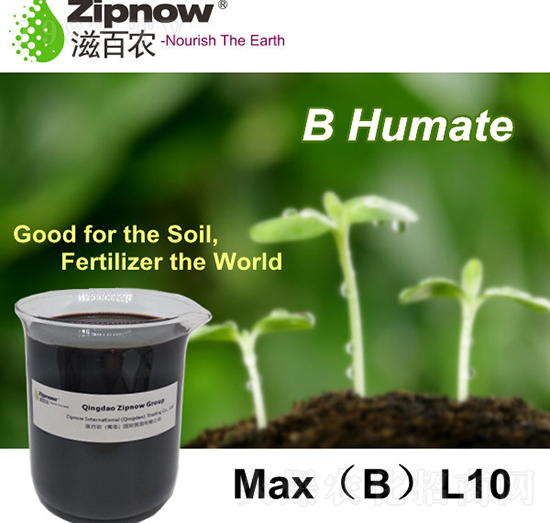 B腐殖質-滋百農
