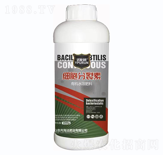 ��(x��)��������-һ������