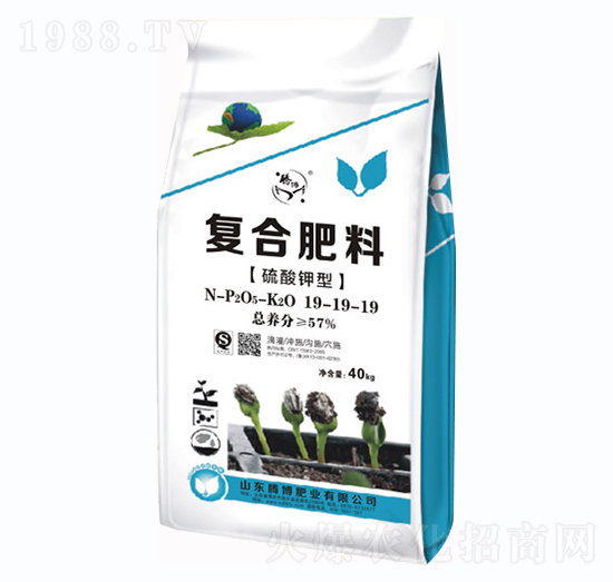 復(fù)合肥料19-19-19-騰博肥業(yè)