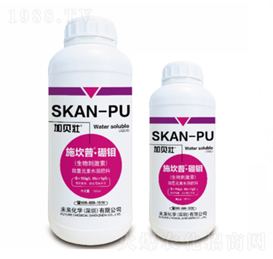 施坎普-硼鉬-未來(lái)化學(xué)