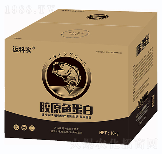 膠原魚蛋白-邁科農(nóng)-鑫垚生物