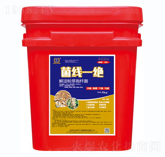 菌線一絕-金田豐