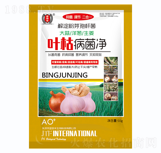 ���������[������-�~�ݲ�����-�����S