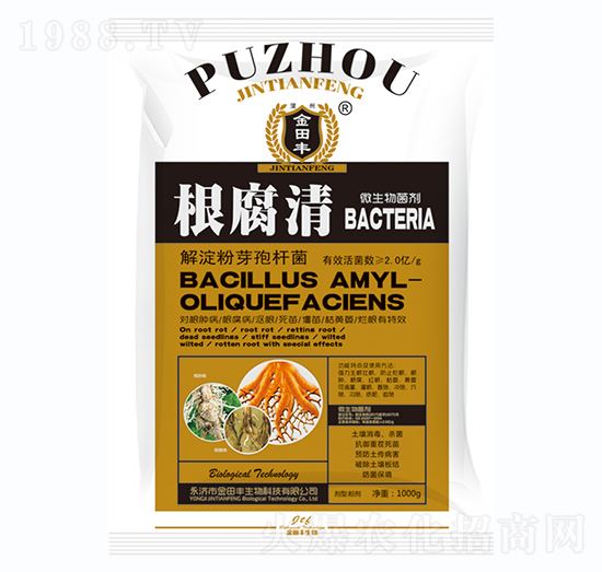 ������΢�������-�����S