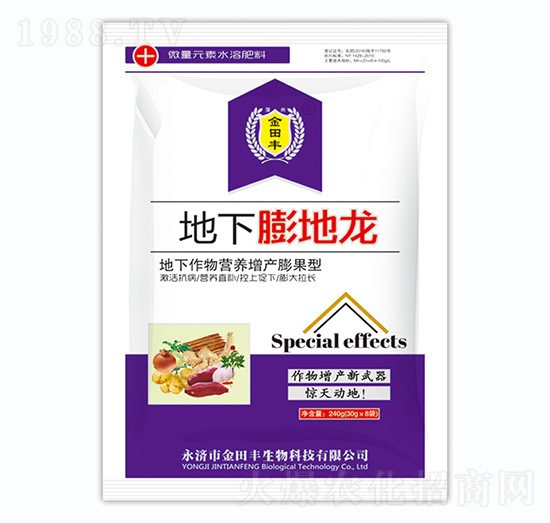 地下膨地龍-金田豐