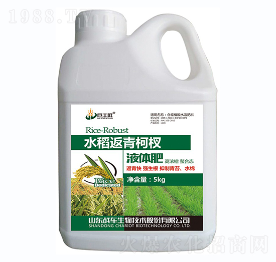 水稻返青柯杈肥-戰(zhàn)車