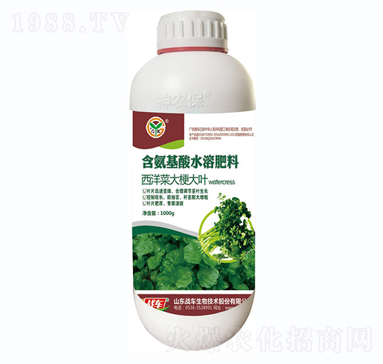 西洋菜大梗大葉-戰(zhàn)車