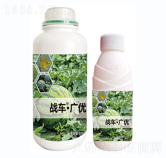 戰(zhàn)車(chē)·廣優(yōu)-西瓜-戰(zhàn)車(chē)