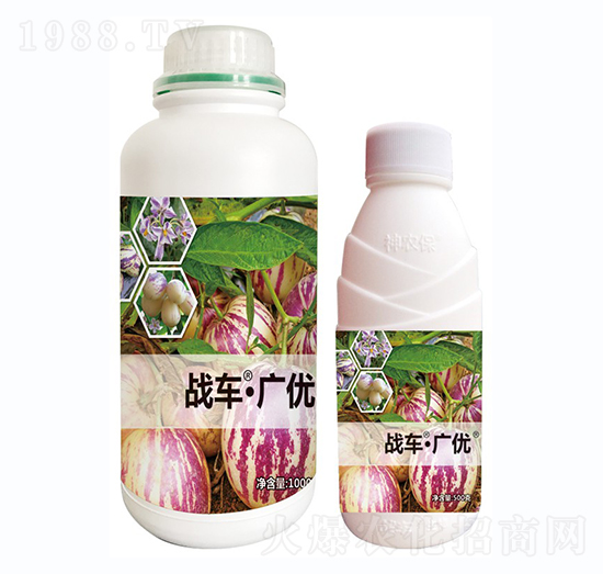 戰(zhàn)車·廣優(yōu)-人參果-戰(zhàn)車