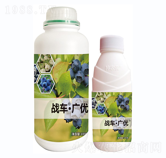 ��(zh��n)܇(ch��)���V��(y��u)-�{(l��n)ݮ-��(zh��n)܇(ch��)