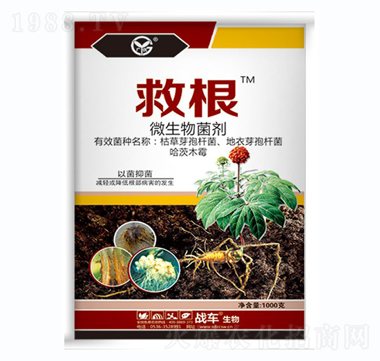 ΢�������-�ȸ�-��(zh��n)܇