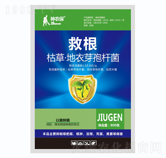 �ݲ�ѿ�ߗU��-�ȸ�-��(zh��n)܇