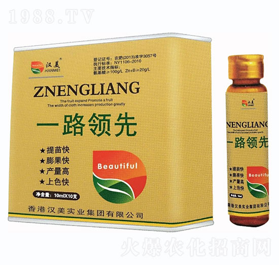 一路領(lǐng)先-漢美實(shí)業(yè)