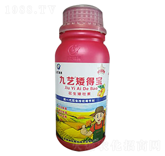 九藝矮得寶-九藝綠洲