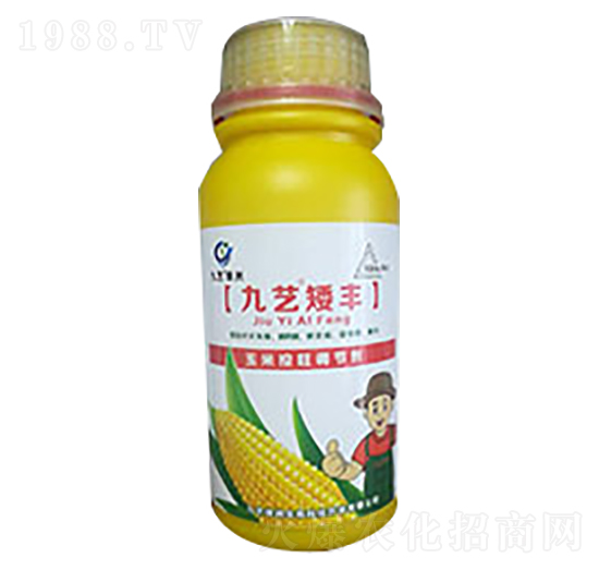 九藝矮豐-九藝綠洲