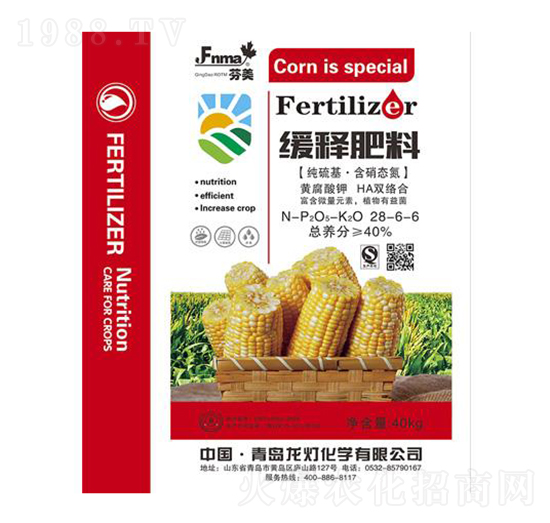 ��ጷ���28-6-6-����