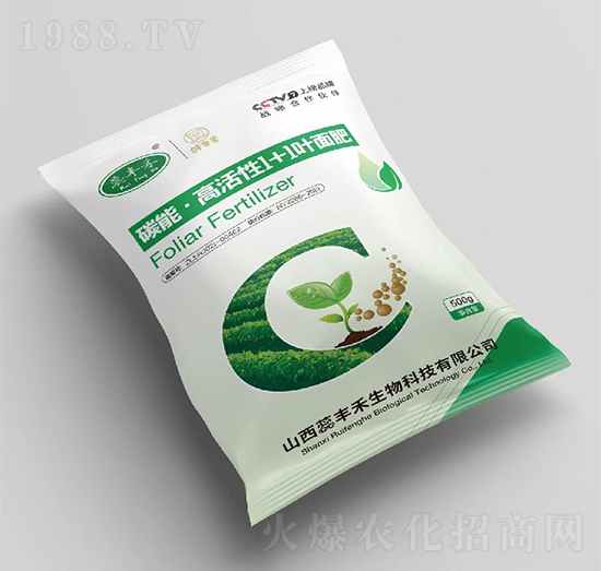 ̼�ܡ��߻���1+1�~���-���S��