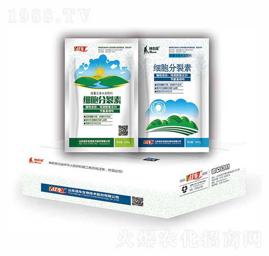 ��(x��)�������أ��У�-��(zh��n)܇