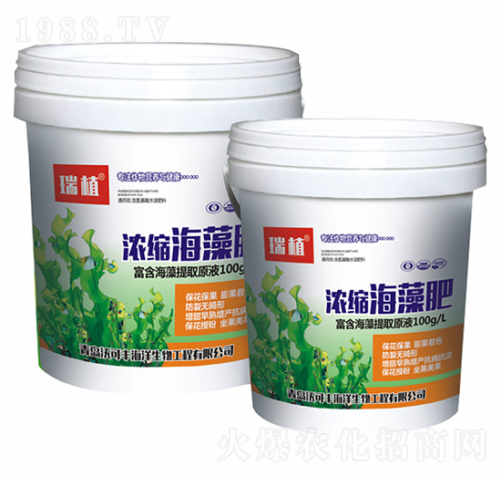 濃縮海藻肥-沃可豐