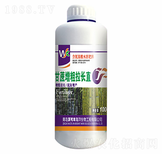 甘蔗增粗拉長直-沃可豐