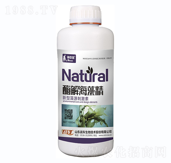 ø�⺣�徫-��(zh��n)܇(ch��)