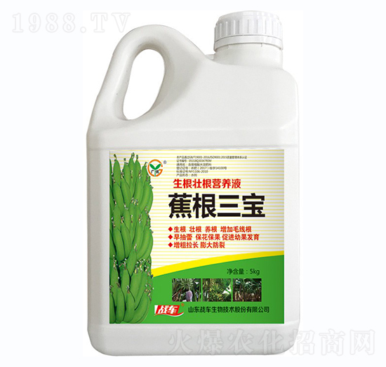 ��������-��(zh��n)܇