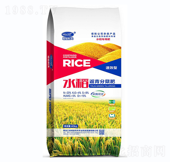 水稻返青分葉肥-哈伯利夫