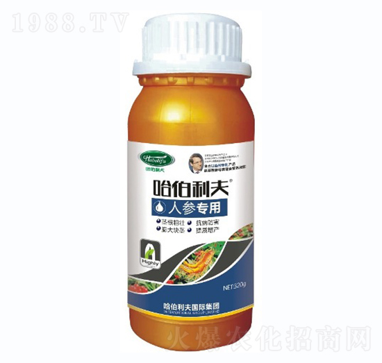 �˅���(zhu��n)��-��������