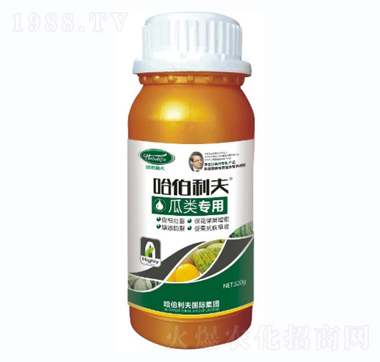 ���(l��i)��(zhu��n)��-��������