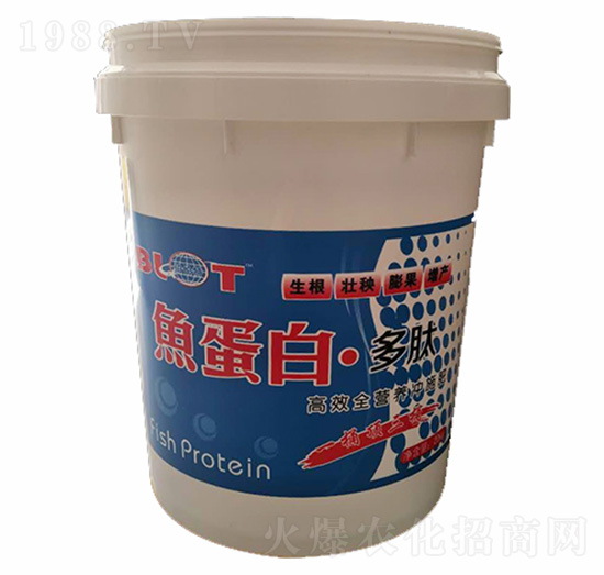 魚蛋白多肽-伯倫特