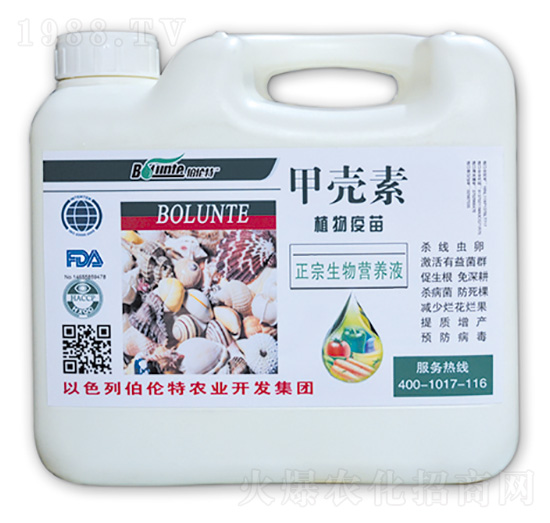 �ך���ֲ������-������