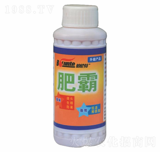 �ʰ�-������