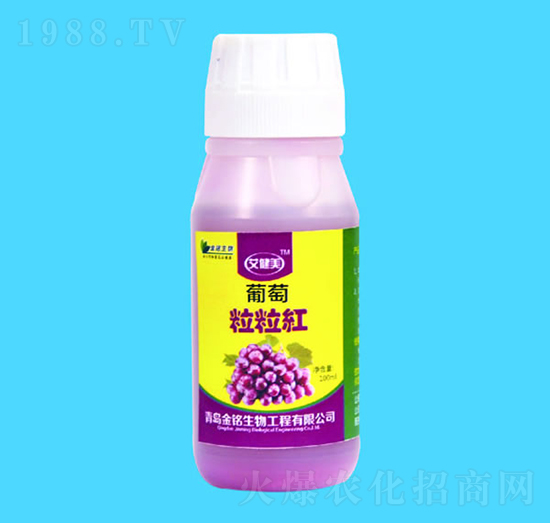葡萄粒粒紅-金銘生物