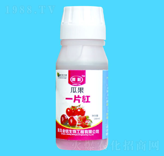 瓜果一片紅-靚彩-金銘生物