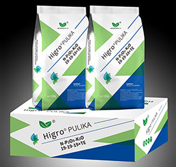 進(jìn)口水溶肥19-19-19+TE-伯倫特