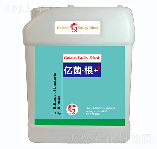 億菌·根-金谷丁