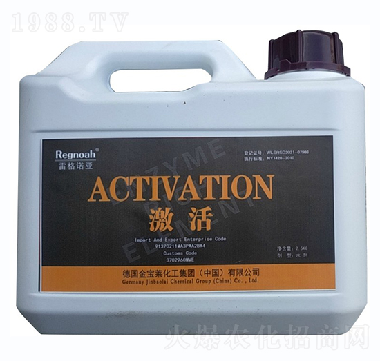 雷格諾亞·激活-金谷丁