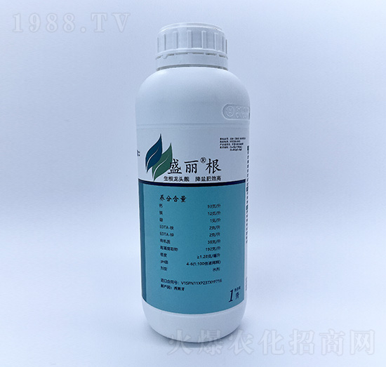 1L盛麗根-自然地